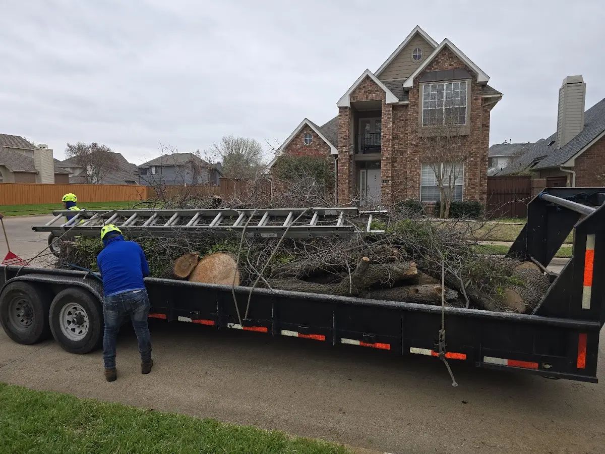 Expert Deadwooding with proper safety equipment in Oak Grove
